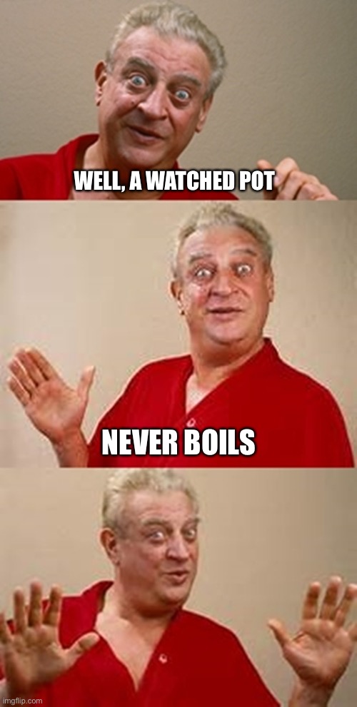 Watched pot pun | WELL, A WATCHED POT; NEVER BOILS | image tagged in bad pun dangerfield,pot,watch,boil | made w/ Imgflip meme maker