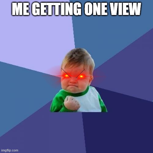 Success Kid | ME GETTING ONE VIEW | image tagged in memes,success kid | made w/ Imgflip meme maker
