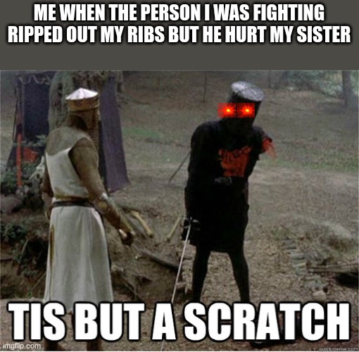tis but a scratch | ME WHEN THE PERSON I WAS FIGHTING RIPPED OUT MY RIBS BUT HE HURT MY SISTER | image tagged in tis but a scratch | made w/ Imgflip meme maker