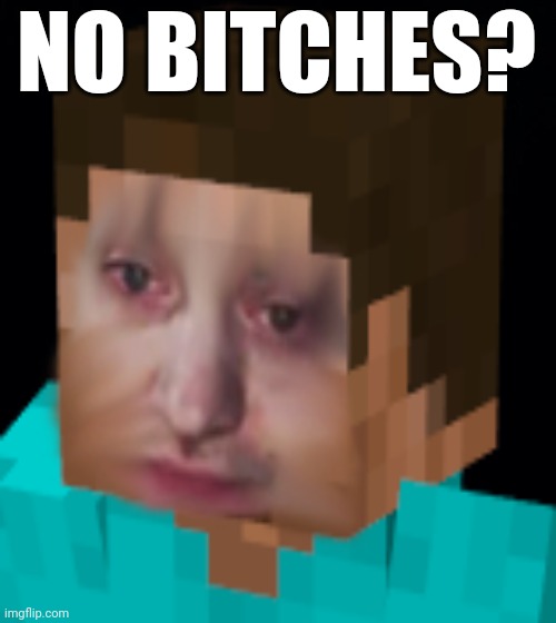 NO BITCHES? | image tagged in memes | made w/ Imgflip meme maker