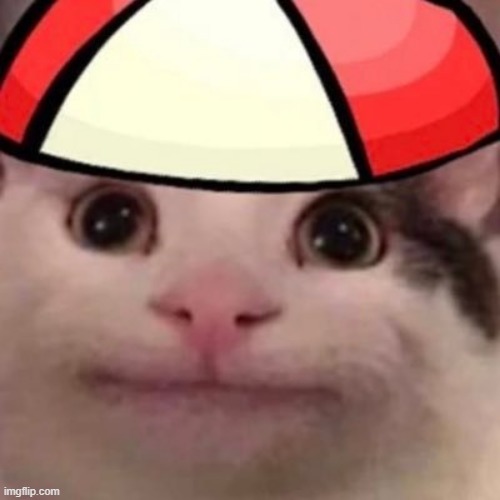 i dont know anymore | made w/ Imgflip meme maker