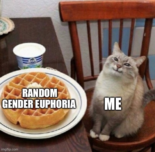 Today was a good day | ME; RANDOM GENDER EUPHORIA | image tagged in cat likes their waffle | made w/ Imgflip meme maker