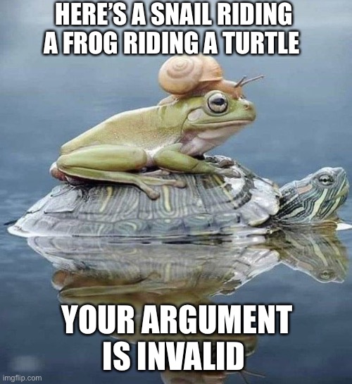 Your argument is invalid | HERE’S A SNAIL RIDING A FROG RIDING A TURTLE; YOUR ARGUMENT IS INVALID | image tagged in invalid argument | made w/ Imgflip meme maker