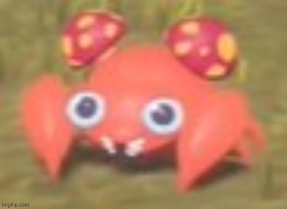 the scrunkler | made w/ Imgflip meme maker