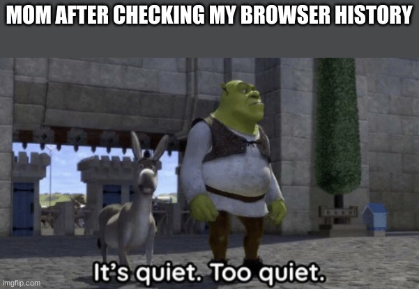 Dont tell her about the other browsers | MOM AFTER CHECKING MY BROWSER HISTORY | image tagged in it s quiet too quiet shrek | made w/ Imgflip meme maker
