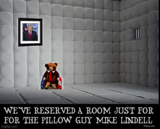Pillow Guy's padded cell | image tagged in pillow,lindell,rwnj,trumpy bear | made w/ Imgflip meme maker