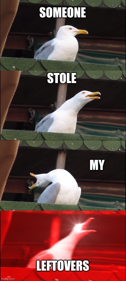 Inhaling Seagull | SOMEONE; STOLE; MY; LEFTOVERS | image tagged in memes,inhaling seagull,relatable | made w/ Imgflip meme maker