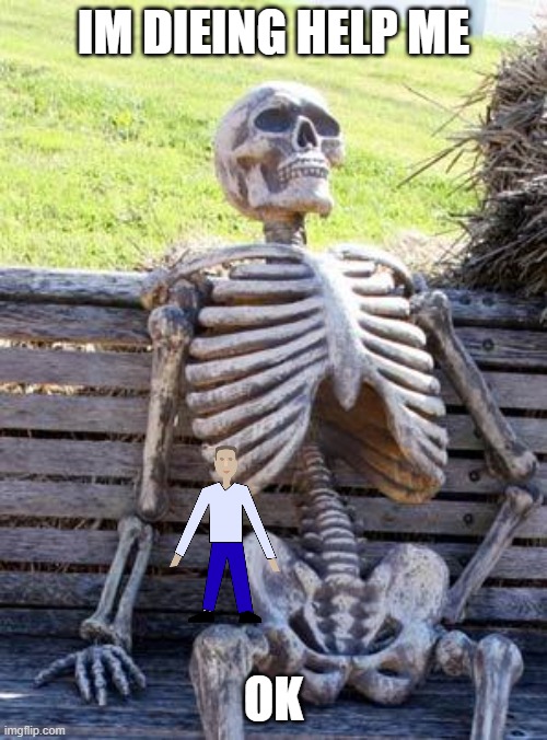 help | IM DIEING HELP ME; OK | image tagged in memes,waiting skeleton,skeleton | made w/ Imgflip meme maker