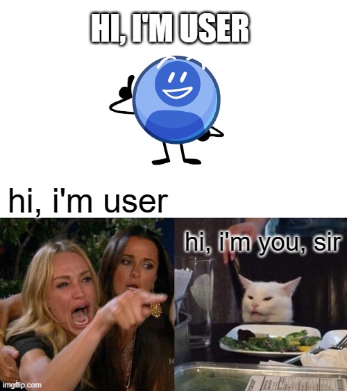 user | HI, I'M USER; hi, i'm user; hi, i'm you, sir | image tagged in memes,woman yelling at cat,user | made w/ Imgflip meme maker