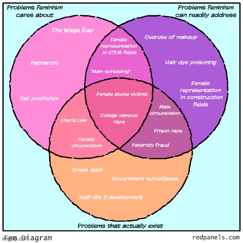 Fem Diagram | made w/ Imgflip meme maker