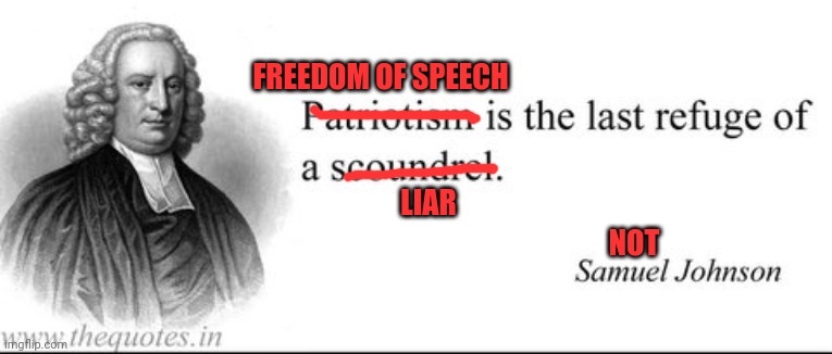 FREEDOM OF SPEECH; LIAR; NOT | image tagged in free speech,fake news,paraphrasing | made w/ Imgflip meme maker