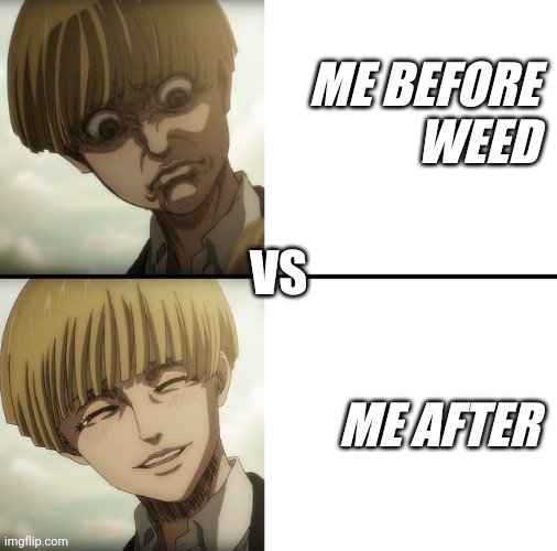 AOT | ME BEFORE
 WEED; VS; ME AFTER | image tagged in aot | made w/ Imgflip meme maker