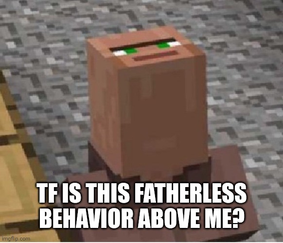 Minecraft Villager Looking Up | TF IS THIS FATHERLESS BEHAVIOR ABOVE ME? | image tagged in minecraft villager looking up | made w/ Imgflip meme maker