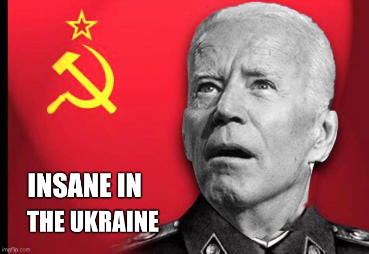 Ukraine | INSANE IN; THE UKRAINE | image tagged in uncle joe votes,happy,fun,meme,fry | made w/ Imgflip meme maker