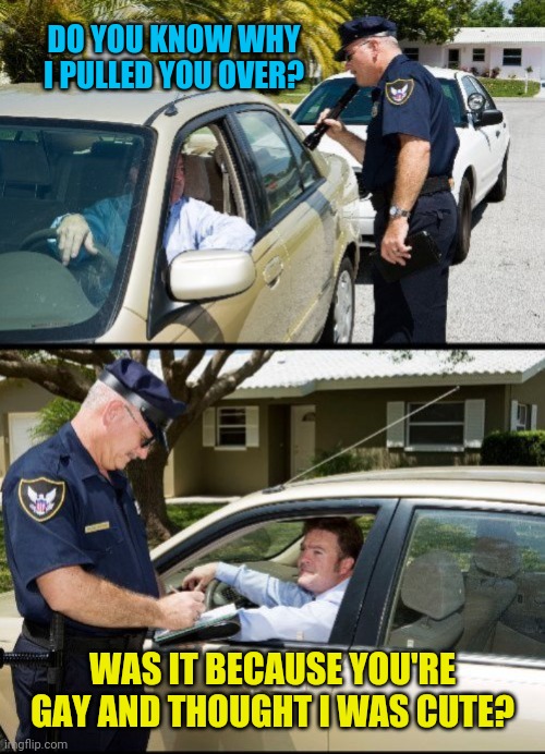 pulled over - 2 panels | DO YOU KNOW WHY I PULLED YOU OVER? WAS IT BECAUSE YOU'RE GAY AND THOUGHT I WAS CUTE? | image tagged in pulled over - 2 panels | made w/ Imgflip meme maker