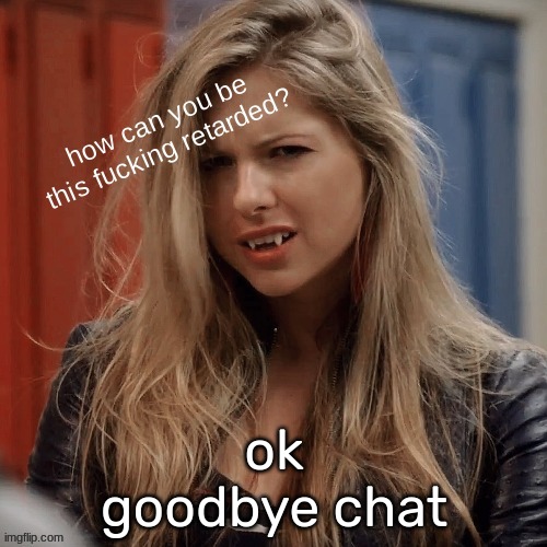 erica | ok
goodbye chat | image tagged in erica | made w/ Imgflip meme maker