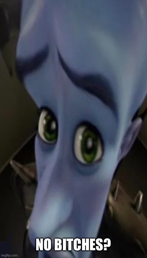 Megamind peeking | NO BITCHES? | image tagged in no bitches | made w/ Imgflip meme maker