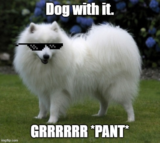 DOG WITH IT | Dog with it. GRRRRRR *PANT* | image tagged in dogs | made w/ Imgflip meme maker