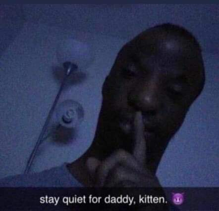 Stay quite for daddy, kitten. Blank Meme Template