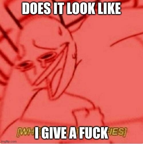 Wheeze | DOES IT LOOK LIKE I GIVE A FUCK | image tagged in wheeze | made w/ Imgflip meme maker