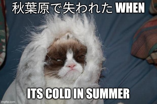 discord moment | 秋葉原で失われた WHEN; ITS COLD IN SUMMER | image tagged in cold grumpy cat | made w/ Imgflip meme maker