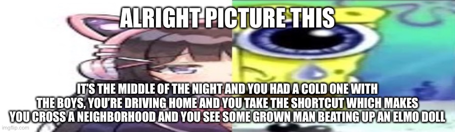 I would join in on the fun | ALRIGHT PICTURE THIS; IT’S THE MIDDLE OF THE NIGHT AND YOU HAD A COLD ONE WITH THE BOYS, YOU’RE DRIVING HOME AND YOU TAKE THE SHORTCUT WHICH MAKES YOU CROSS A NEIGHBORHOOD AND YOU SEE SOME GROWN MAN BEATING UP AN ELMO DOLL | image tagged in lol | made w/ Imgflip meme maker