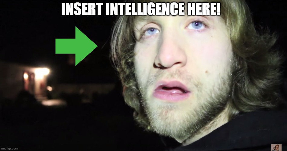 Jesse Ridgway After Watching A Qanon Video | INSERT INTELLIGENCE HERE! | image tagged in mcjuggernuggets down syndrome,iq,facts,logic,qanon,truth | made w/ Imgflip meme maker