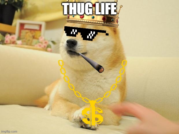 thug life of doge | THUG LIFE | image tagged in memes,doge 2 | made w/ Imgflip meme maker