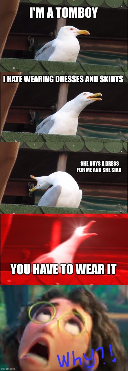 for the tomboys | I'M A TOMBOY; I HATE WEARING DRESSES AND SKIRTS; SHE BUYS A DRESS FOR ME AND SHE SIAD; YOU HAVE TO WEAR IT | image tagged in memes,inhaling seagull,why | made w/ Imgflip meme maker