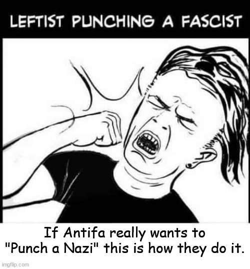 Once again for those that just don't get it, communism, fascism and Nazism are all variations of socialism. | If Antifa really wants to "Punch a Nazi" this is how they do it. | image tagged in antifa,punch a nazi,they are all socialists now | made w/ Imgflip meme maker