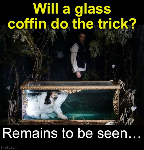 Hideous Natural Decay | Will a glass coffin do the trick? Remains to be seen… | image tagged in funny memes,dark humor | made w/ Imgflip meme maker