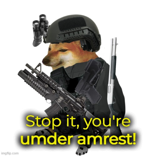 You're Under Arrest | image tagged in you're under arrest | made w/ Imgflip meme maker
