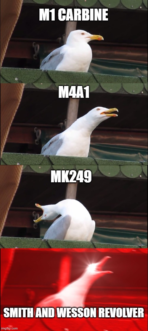 Inhaling Seagull | M1 CARBINE; M4A1; MK249; SMITH AND WESSON REVOLVER | image tagged in memes,inhaling seagull | made w/ Imgflip meme maker