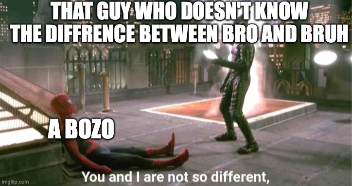 QWA |  THAT GUY WHO DOESN'T KNOW THE DIFFRENCE BETWEEN BRO AND BRUH; A BOZO | image tagged in you and i are not so diffrent | made w/ Imgflip meme maker