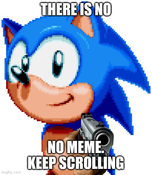 There is no meme | THERE IS NO; NO MEME. KEEP SCROLLING | image tagged in sonic with a gun | made w/ Imgflip meme maker