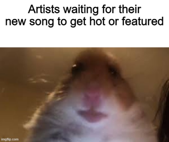 Hamper | Artists waiting for their new song to get hot or featured | image tagged in funny memes | made w/ Imgflip meme maker