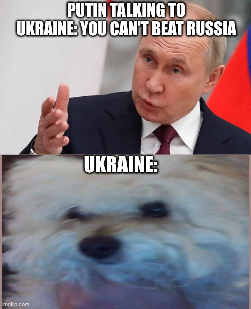 Well, yes | PUTIN TALKING TO UKRAINE: YOU CAN'T BEAT RUSSIA; UKRAINE: | image tagged in memes,vladimir putin,ukraine | made w/ Imgflip meme maker