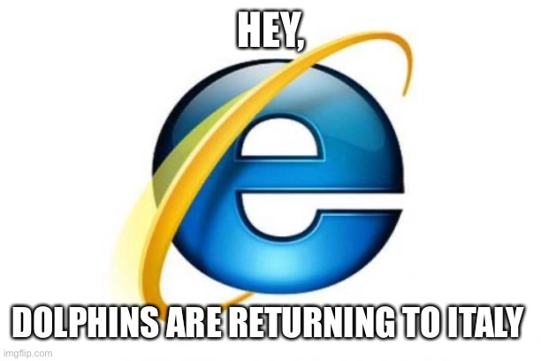 Internet explorer be like |  HEY, DOLPHINS ARE RETURNING TO ITALY | image tagged in memes,internet explorer | made w/ Imgflip meme maker
