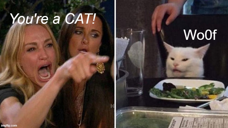 The internet right now | You're a CAT! Wo0f | image tagged in memes | made w/ Imgflip meme maker