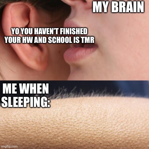 Eeek | MY BRAIN; YO YOU HAVEN’T FINISHED YOUR HW AND SCHOOL IS TMR; ME WHEN SLEEPING: | image tagged in whisper and goosebumps | made w/ Imgflip meme maker