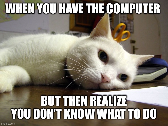 Relatable? | WHEN YOU HAVE THE COMPUTER; BUT THEN REALIZE YOU DON’T KNOW WHAT TO DO | image tagged in annoyed tired bored cat | made w/ Imgflip meme maker