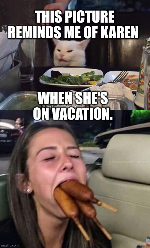 THIS PICTURE REMINDS ME OF KAREN; WHEN SHE'S ON VACATION. | image tagged in smudge the cat,smudge | made w/ Imgflip meme maker