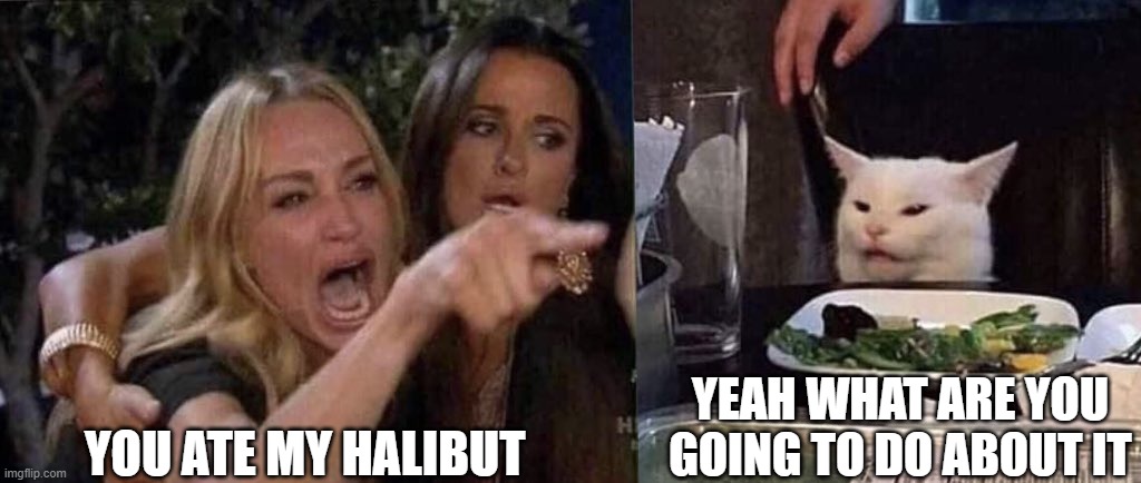 When cats take food from you | YOU ATE MY HALIBUT; YEAH WHAT ARE YOU GOING TO DO ABOUT IT | image tagged in woman yelling at cat | made w/ Imgflip meme maker