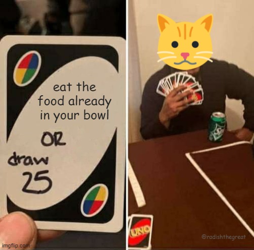 Eat the food in your bowl | eat the food already in your bowl; @radishthegreat | image tagged in memes,uno draw 25 cards,cats,cat food | made w/ Imgflip meme maker