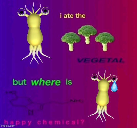 w h e r e | image tagged in memes,unfunny | made w/ Imgflip meme maker