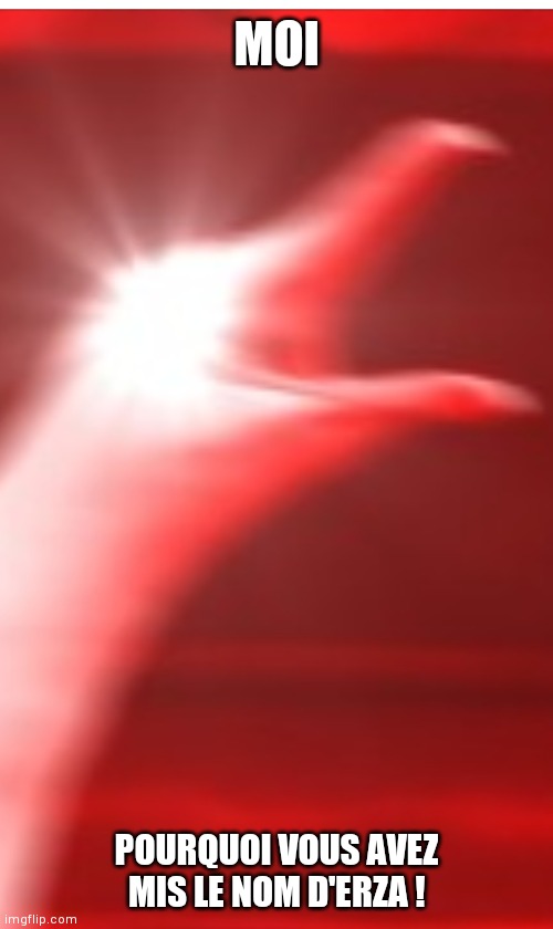 Mouette criant | MOI; POURQUOI VOUS AVEZ MIS LE NOM D'ERZA ! | image tagged in mouette criant | made w/ Imgflip meme maker