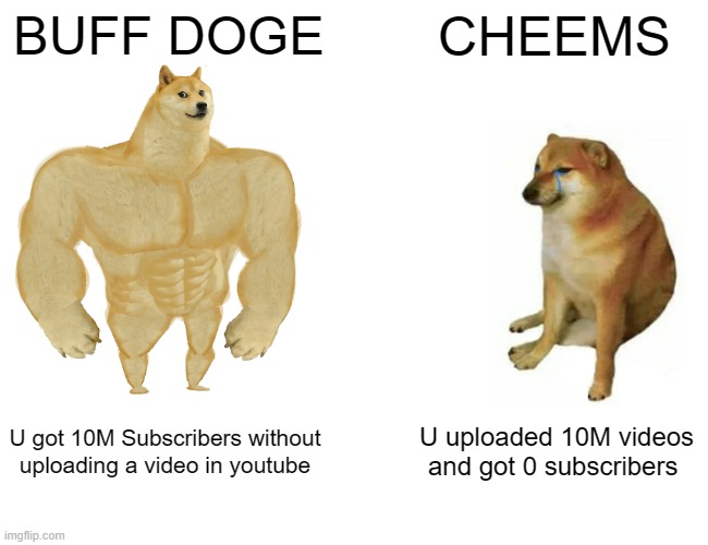 Buff Doge vs. Cheems Meme | BUFF DOGE; CHEEMS; U got 10M Subscribers without uploading a video in youtube; U uploaded 10M videos and got 0 subscribers | image tagged in memes,buff doge vs cheems | made w/ Imgflip meme maker