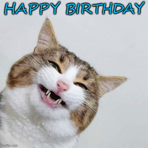 happy cat | HAPPY BIRTHDAY | image tagged in happy cat | made w/ Imgflip meme maker