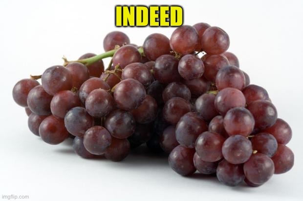 grapes | INDEED | image tagged in grapes | made w/ Imgflip meme maker