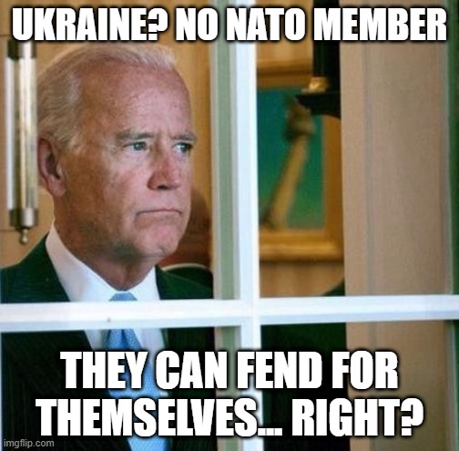 Cowards think like that | UKRAINE? NO NATO MEMBER; THEY CAN FEND FOR THEMSELVES... RIGHT? | image tagged in sad joe biden | made w/ Imgflip meme maker